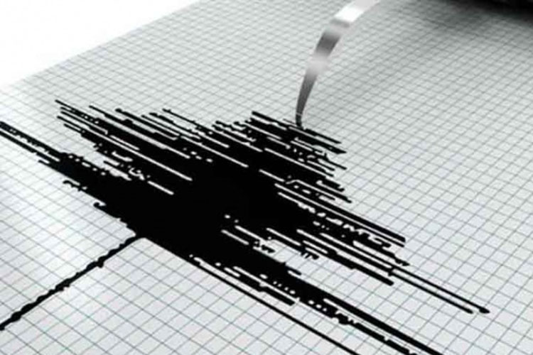 Ocurre sismo magnitud 4.0 en Acapulco, Guerrero