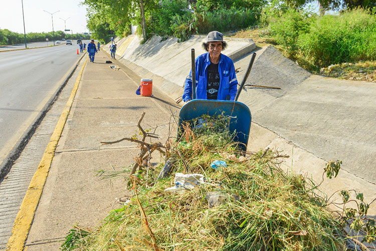 Recolectan 339 toneladas de basura