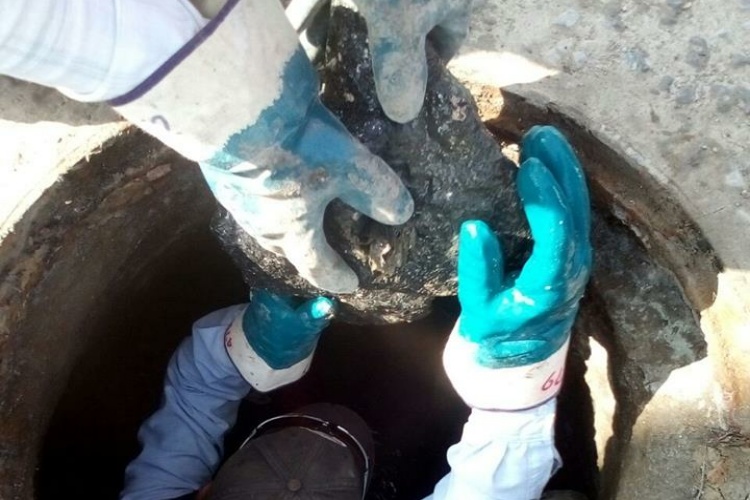 Comapa Reynosa denuncia sabotaje en red de drenaje