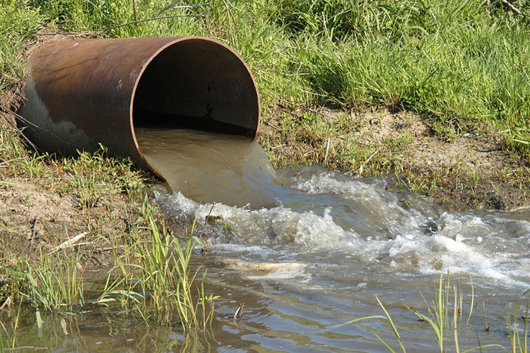 Inspecciona PROFEPA descargas de aguas negras