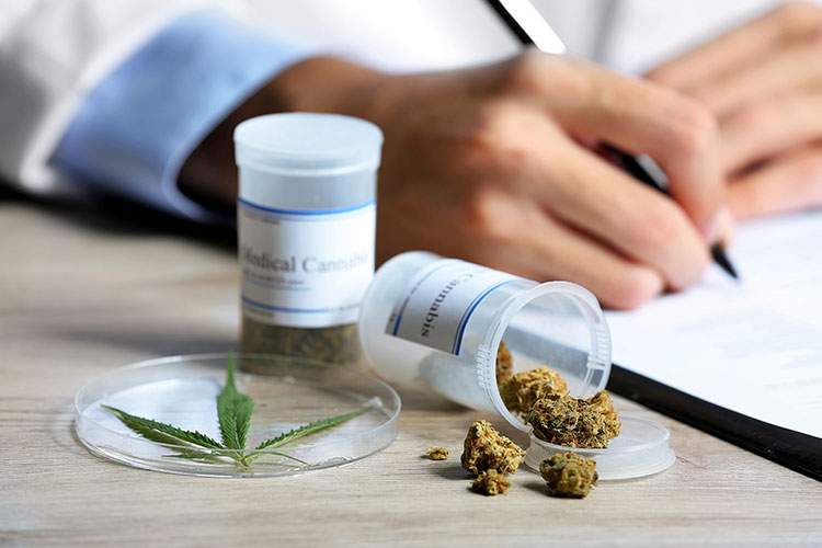 Cannabis medicinal es sólo paliativo: expertos