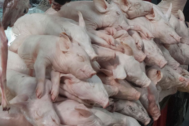 México publica lista de nuevos aranceles a importaciones de EEUU