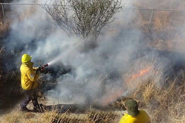 Afectan incendios 4 mil hectáreas en Tamaulipas