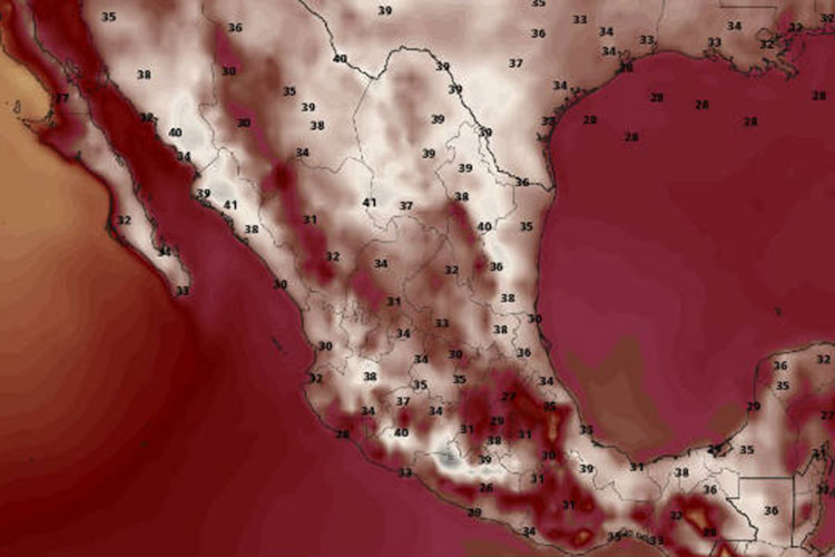 ‘Arde’ Tamaulipas a más de 40 grados