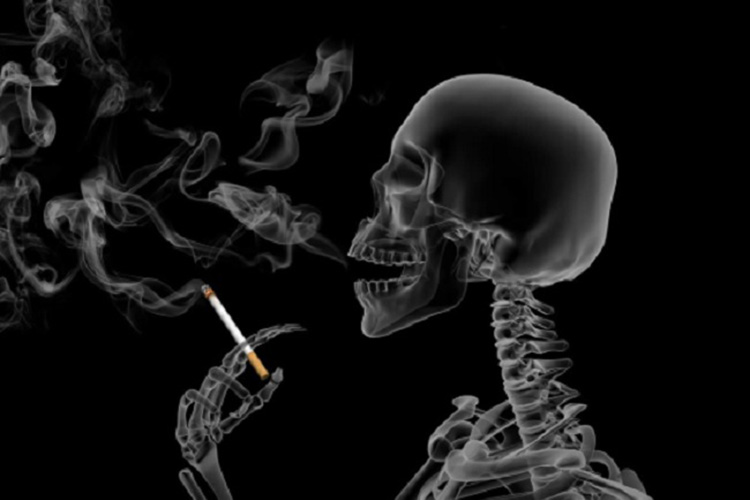 Mueren por cigarro 7 millones cada año