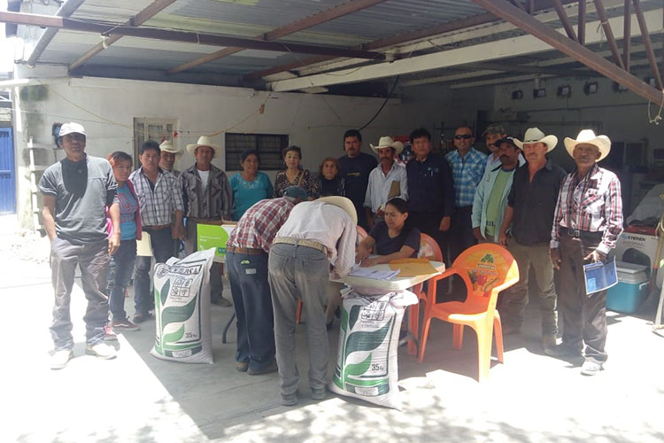 Entrega Desarrollo Rural semilla a productores