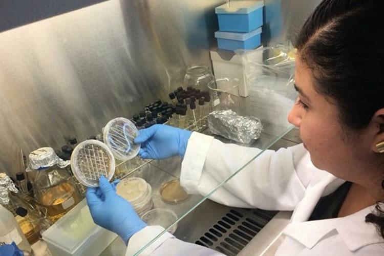 Alumna de la UAT desarrolla en España proyectos de biotecnología