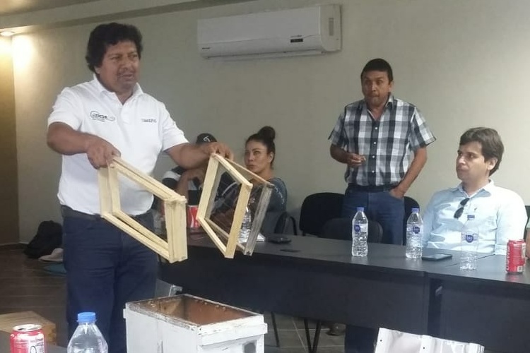 Definen alternativas para comercialización de miel