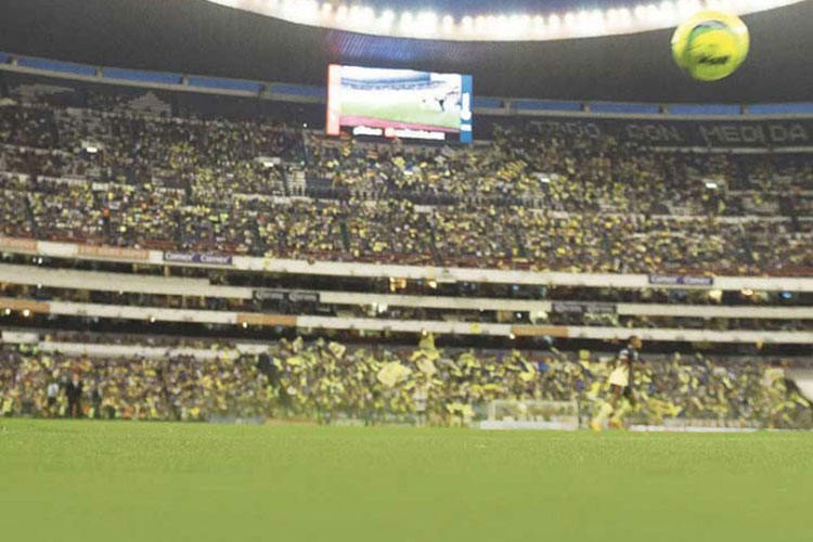 Pasto del Azteca sufre ‘estrés’