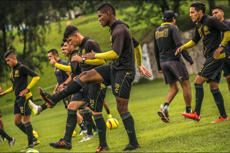 Leones Negros, con la obligación de ser campeón: Jorge Dávalos