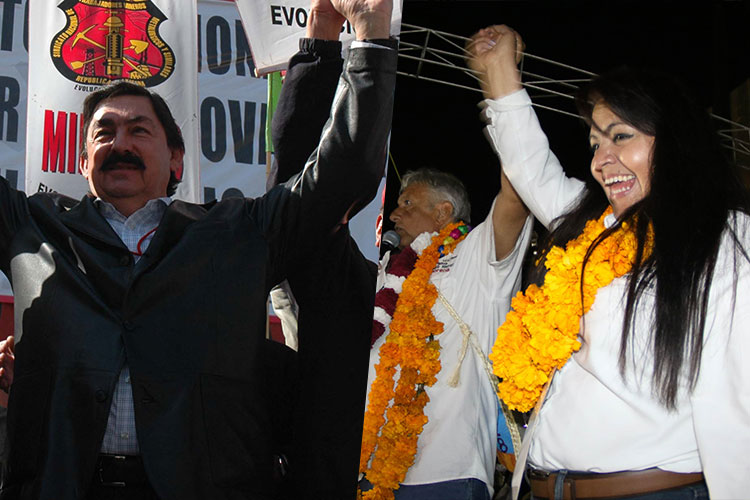 ‘Napo’ y Nestora llegarían al Senado