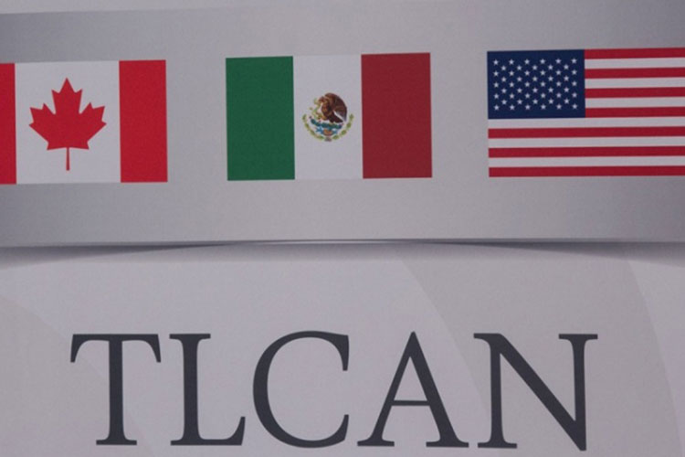 AMLO abordó TLCAN con Trump en términos generales: Vasconcelos