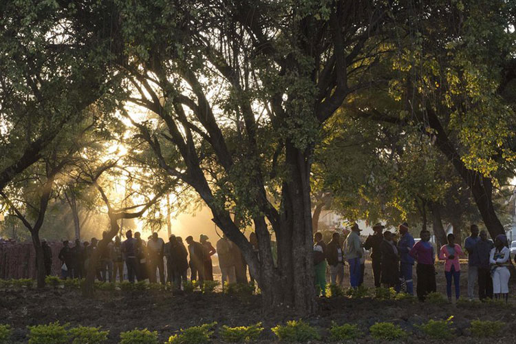 Zimbabue vota en sus 1ras elecciones sin Mugabe en la boleta