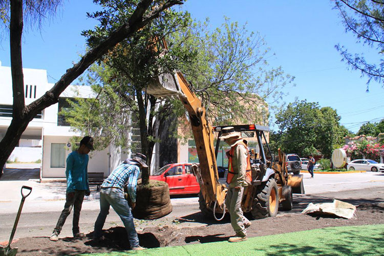 El 17 será un pulmón para la ciudad