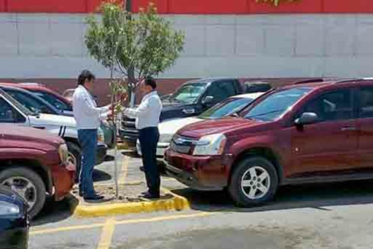 Activan programa ‘Bosques Urbanos’