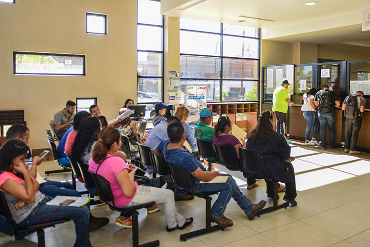 Disponibles más 800 vacantes en oficina de Empleo y PYMES