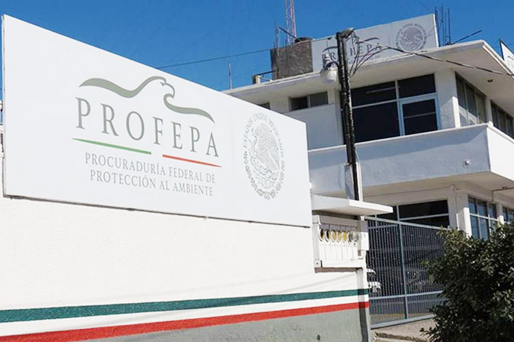 Multa PROFEPA a empresa Tersa de Altamira con 112 mil pesos