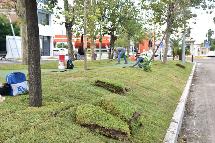 Avanzan trabajos del nuevo rostro del 17