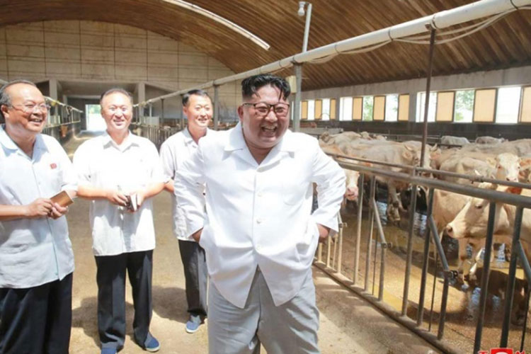 Sanciona EU a empresas de Rusia y China por vínculos con Norcorea