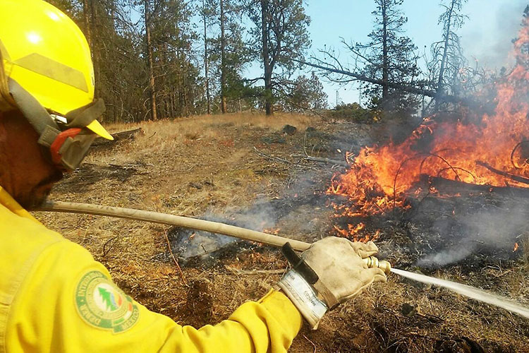 Se inician dos nuevos incendios en Tamaulipas