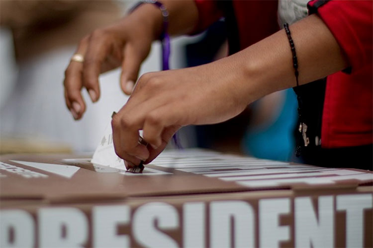Nueva Alianza interpuso un total de 423 recursos de impugnación ante TEPJF
