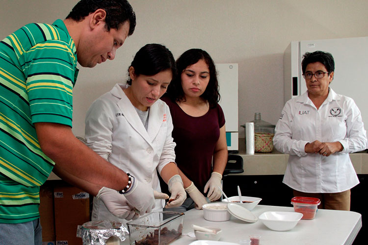 Enseñan a elaborar alimentos artesanales con plantas regionales