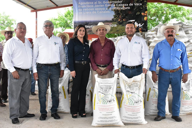 Fortalece Estado zona cítricos en Llera