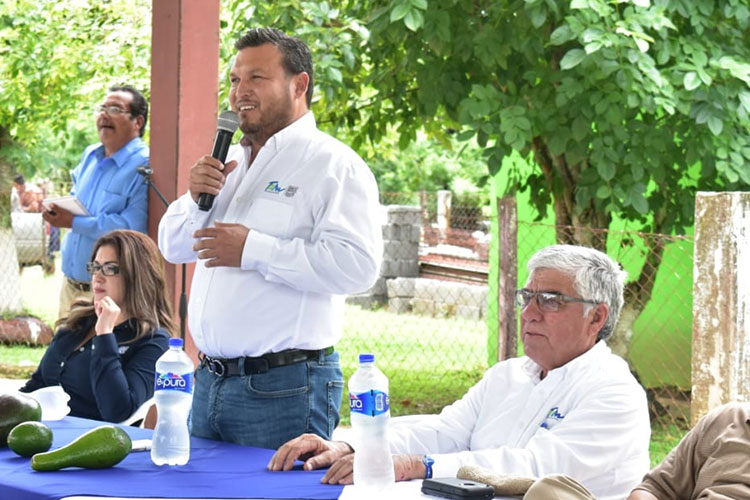 Coadyuva Gobierno para incrementar producción de Aguacate en Tamaulipas