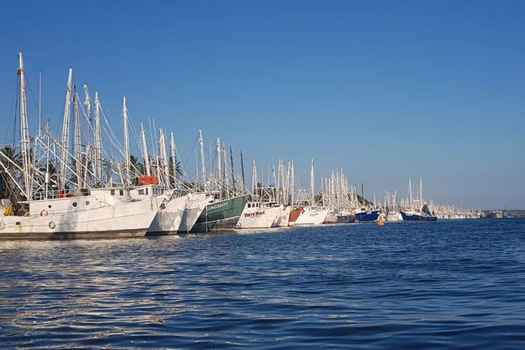 Desfilarán barcos camaroneros por playa de Miramar