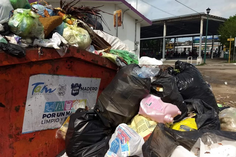 Maderenses “viven” entre la inmundicia