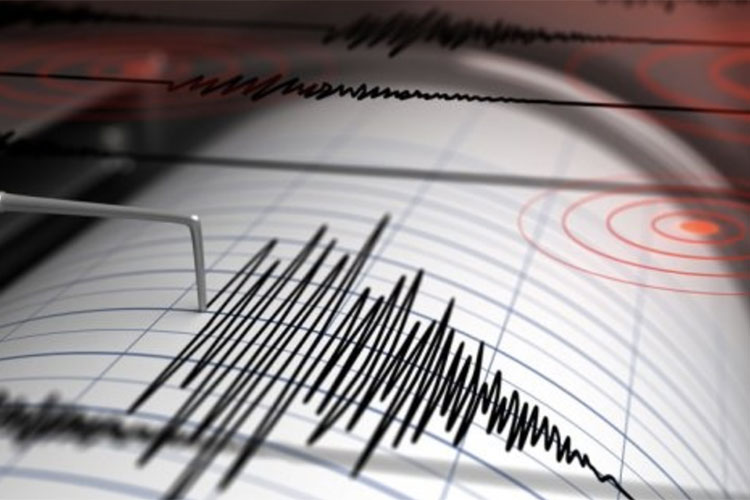 Sismo de magnitud 4.5 se registra en Perú