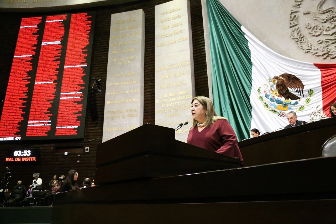 Propone Diputada voto electrónico; se ahorrarán 210 mdp, asegura