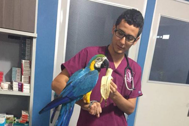 Desaparece su expediente por error administrativo y ahora no se puede titular