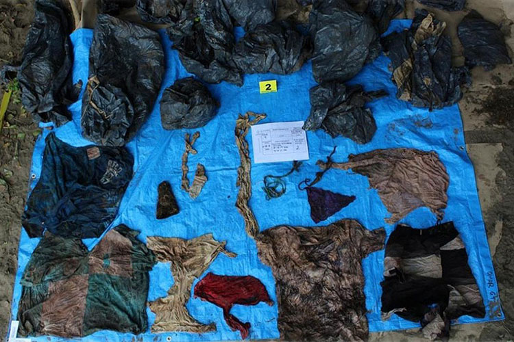 Hallan fosa en Veracruz con restos de más de 166 personas