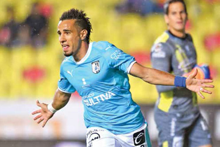 Gallos de Querétaro van por una marca