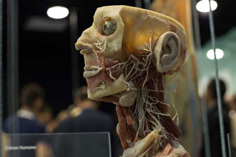 La mitad de la gente experimenta mala salud mental en el trabajo