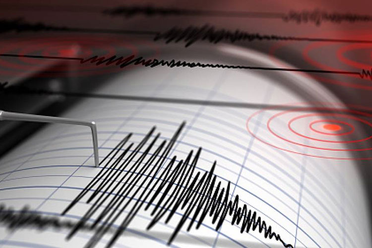 Sismo de magnitud 7,5 remece Indonesia