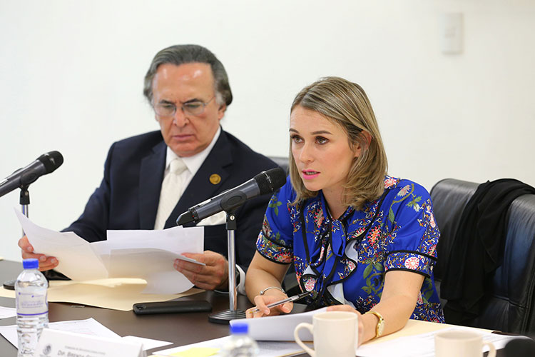 Pide Diputada castigar violencia cibernética