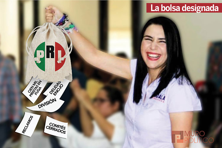 Alista IETAM agenda a Independientes en Tamaulipas