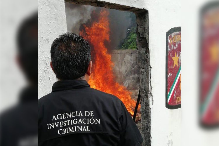 Incinera PGR droga en tres municipios de Tamaulipas