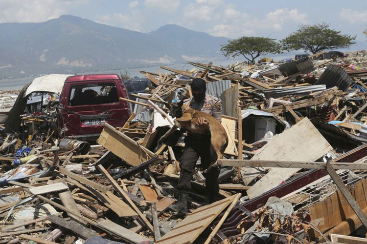 ndonesia: empieza a llegar ayuda a zona afectada por sismo