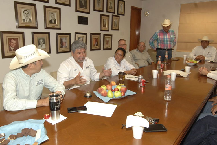 Activa Xico al campo victorense
