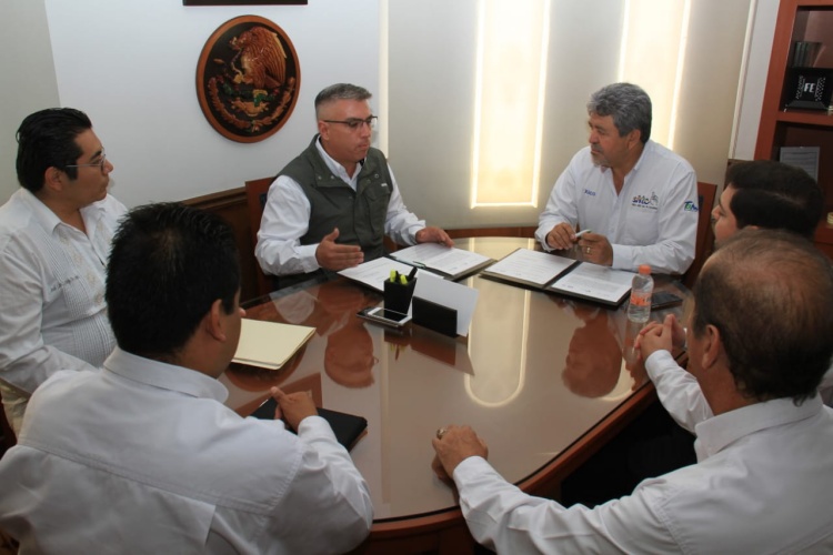 Acuerdan Ayuntamiento y CONAFOR Plantación de 5 mil árboles en la ciudad