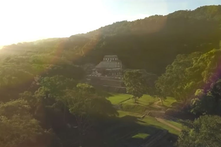 Se movilizan ONG contra Tren Maya; exigen respetar la legislación