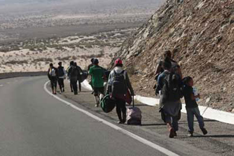 SG: 5 mil 605 integrantes de las caravanas, en BC