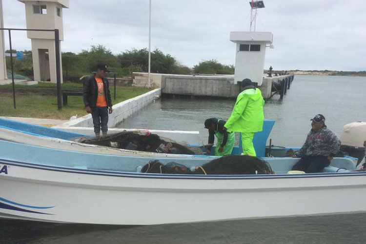 Combate Gobierno de Tamaulipas pesca irregular