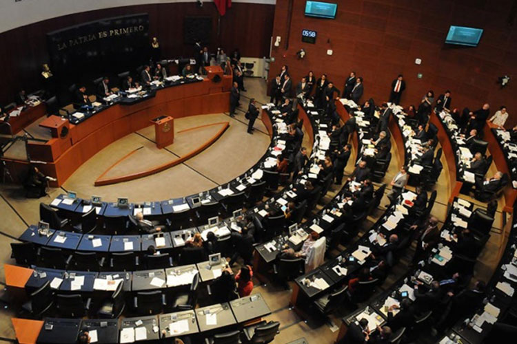 Senado aprueba en lo general reforma para crear SSP y superdelegados