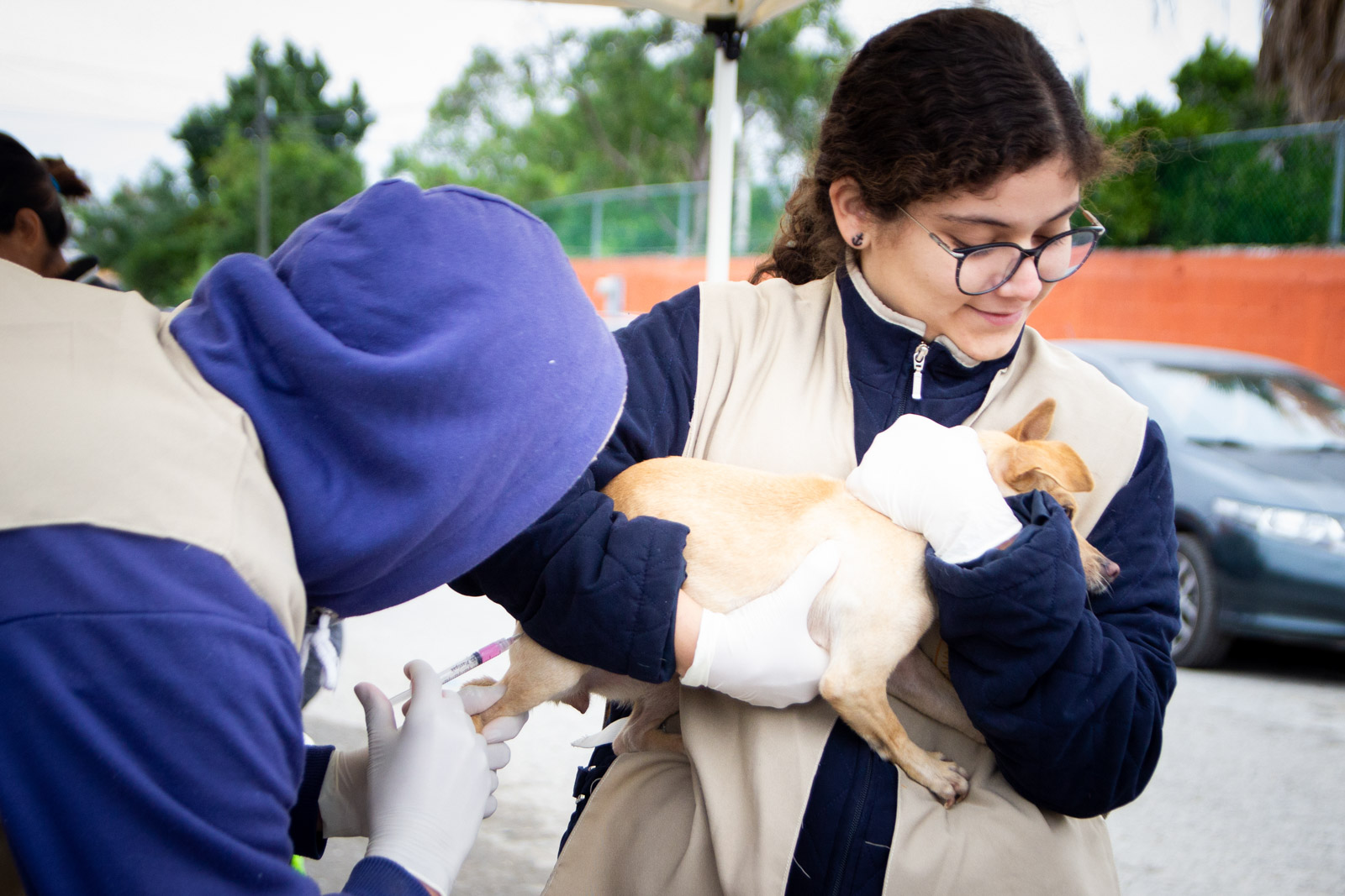 Enseñan universitarios el cuidado responsable de mascotas