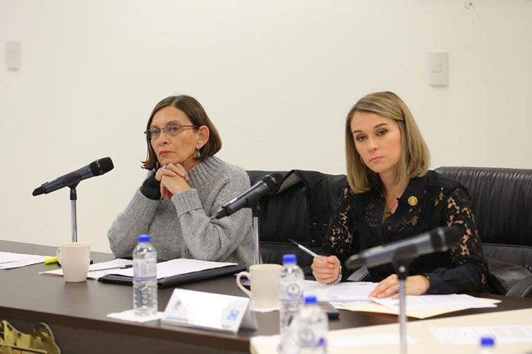 Avanza en Comisiones Ley de Igualdad de Género