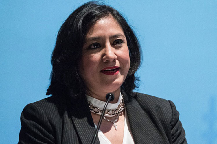 Se reducirá el tamaño de la Función Pública, adelanta titular